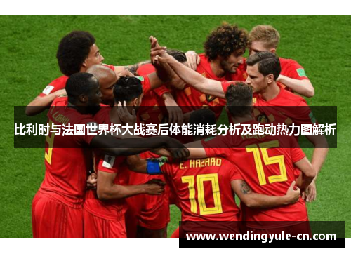 比利时与法国世界杯大战赛后体能消耗分析及跑动热力图解析