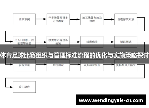 体育足球比赛组织与管理标准流程的优化与实施策略探讨