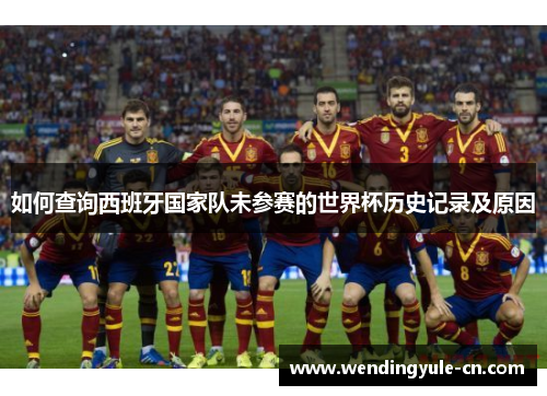 如何查询西班牙国家队未参赛的世界杯历史记录及原因