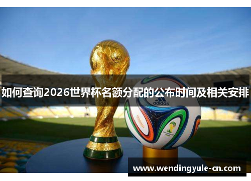 如何查询2026世界杯名额分配的公布时间及相关安排