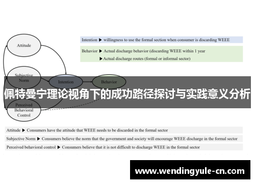 佩特曼宁理论视角下的成功路径探讨与实践意义分析