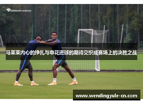 马莱莱内心的挣扎与申花进球的期待交织成赛场上的决胜之战